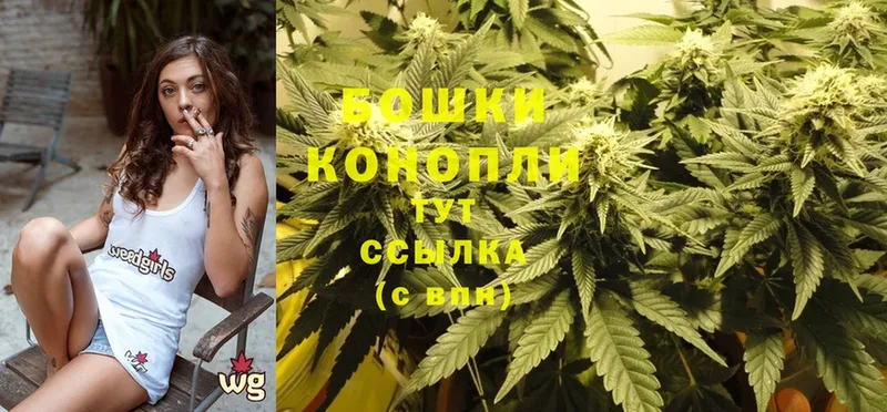 Бошки Шишки SATIVA & INDICA  Бокситогорск 